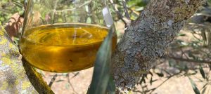 The science behind extra virgin olive oil’s antioxidant properties