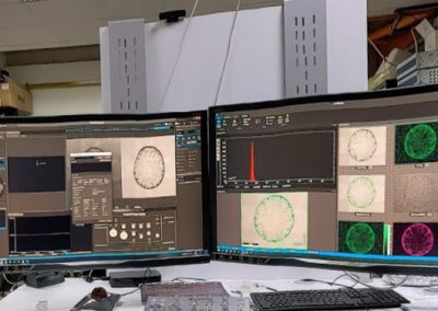 SEM-AFM with Optical Profiler