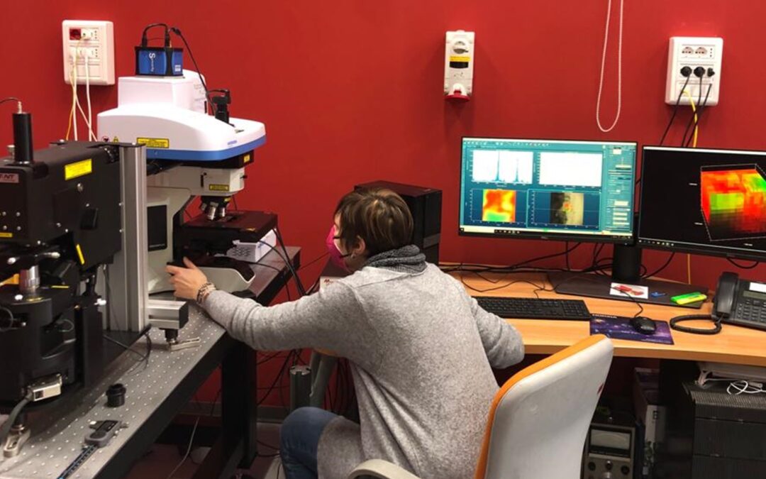 AFM Raman with Optical Profiler