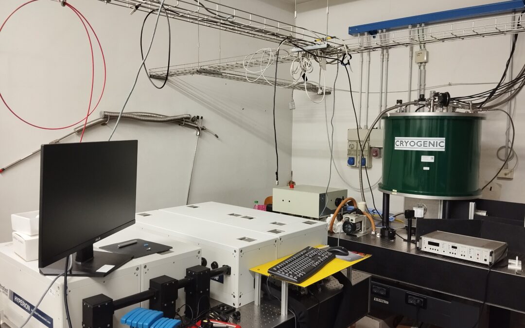 Ultrafast spectroscopy facility