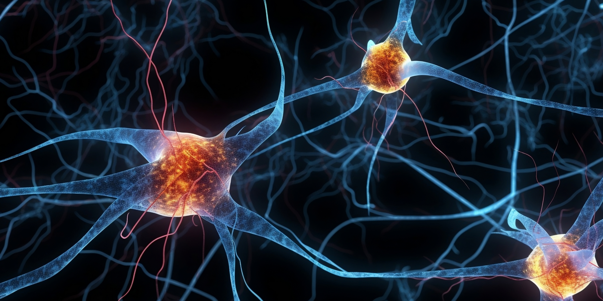 neurons